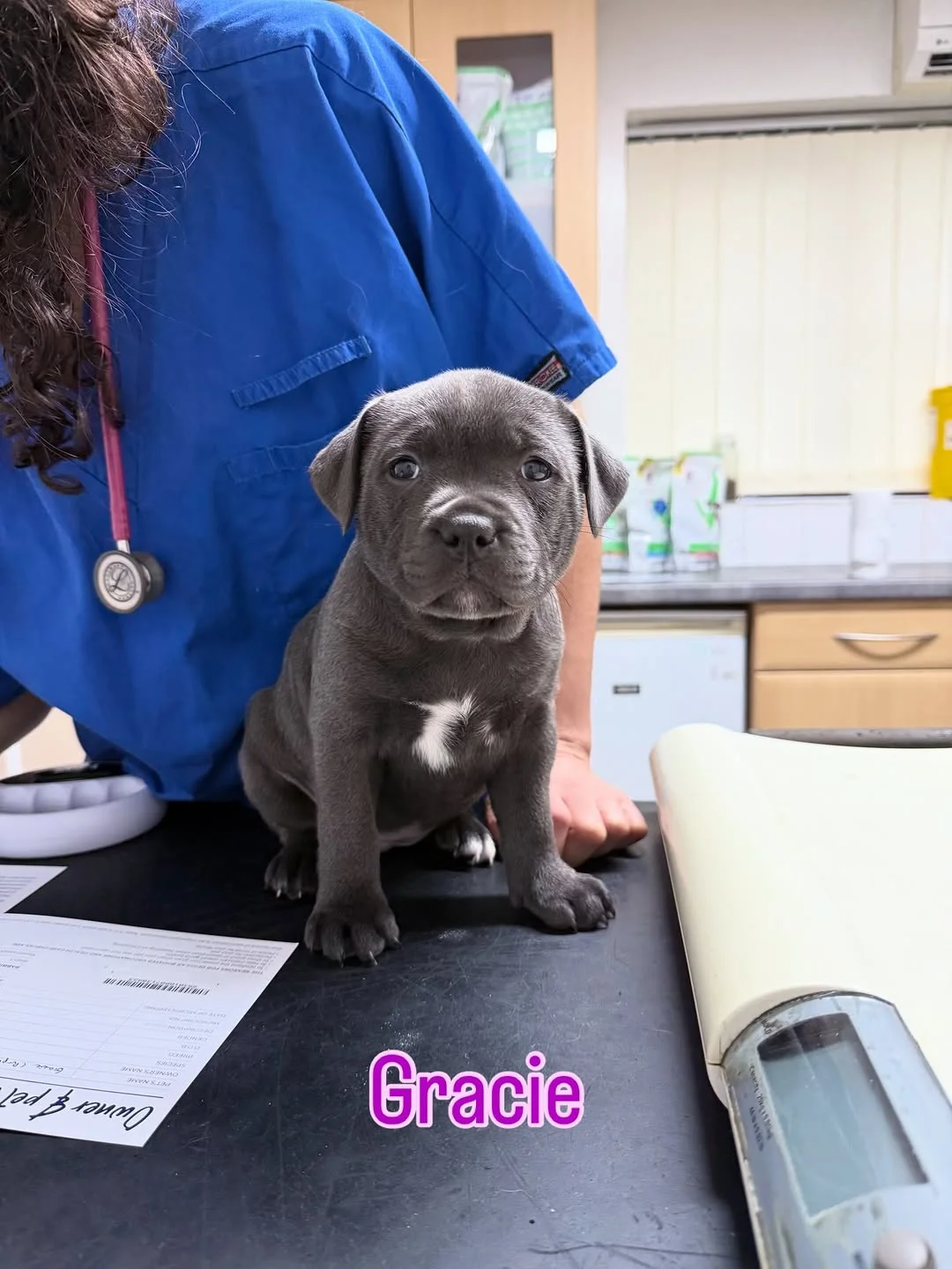 Gracie