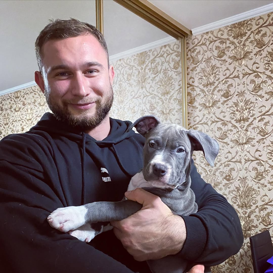 Amanda Johnson's Staffie