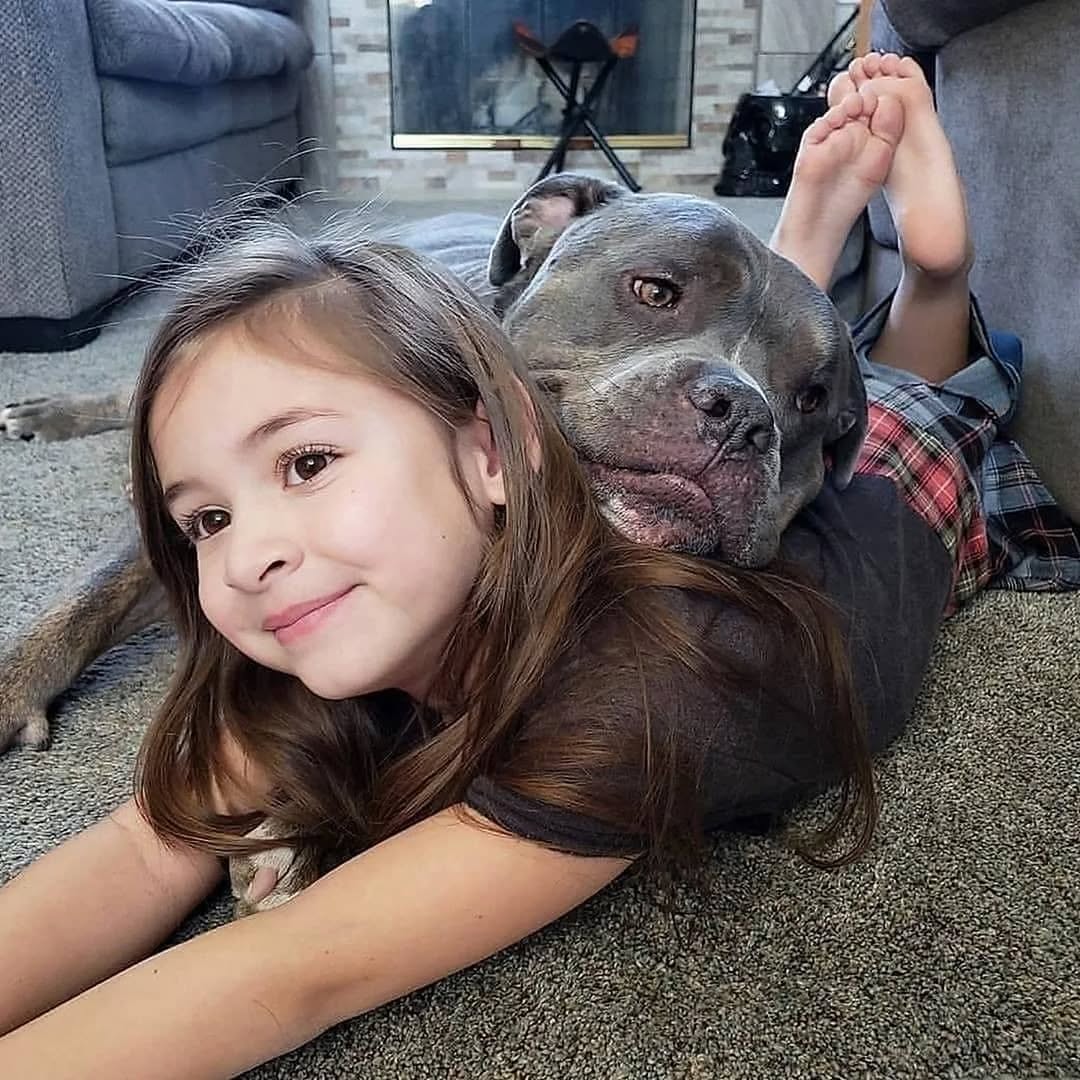 Tyler Nelson's Staffie
