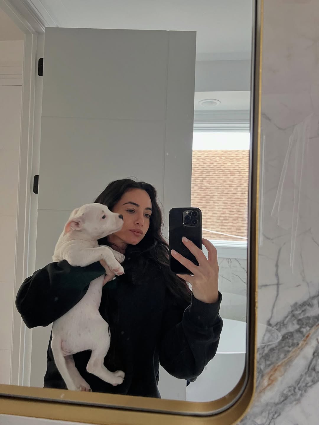 Stephanie Wilson's Staffie