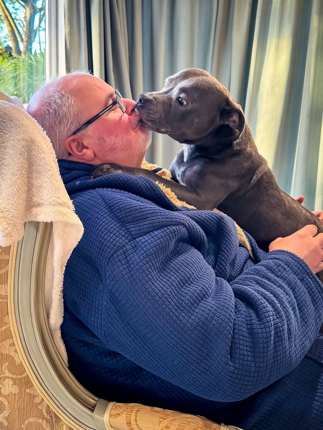 Michael Green's Staffie