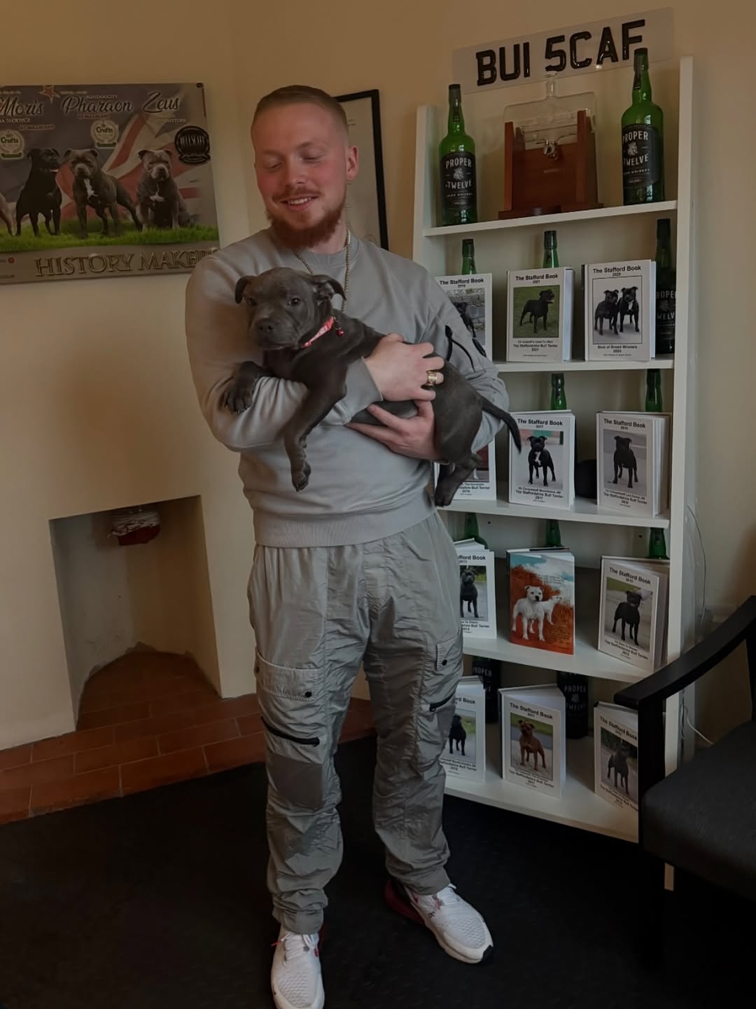 Michelle Harris's Staffie